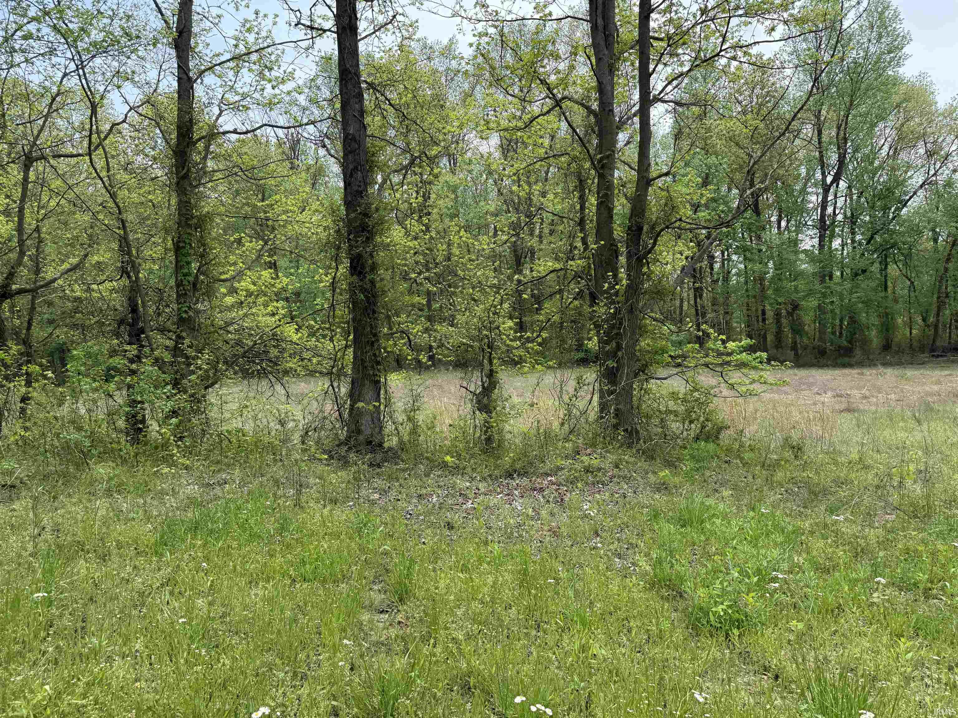 61 South State Road Winslow, IN 47598 - Photo 8 of 29 Gallery Image 8