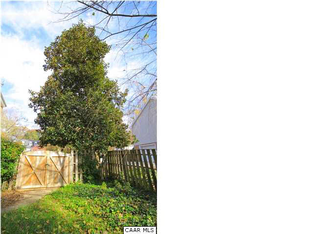 1430 Grove Road Charlottesville, VA 22901 - Photo 27 of 27 Large, beautiful Magnolia tree!