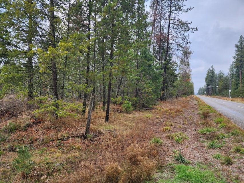 Tbd Agar Road Loon Lake, WA 99148 - Photo 7 of 7 Gallery Image 7