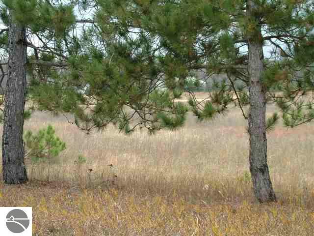 1575 Darke Road Kalkaska, MI 49646 - Photo 7 of 15 1721424-6.JPG