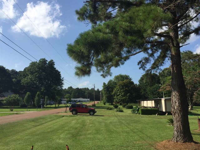 15 Terry Road Natchez, MS 39120 - Photo 1 of 1 Main View