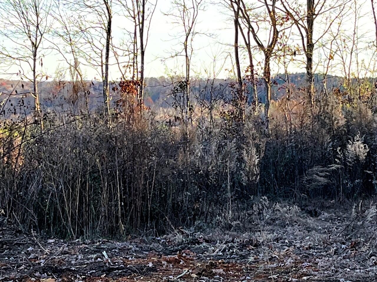 1675 Euchee Road Ten Mile, TN 37880 - Photo 15 of 30