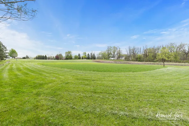 a view of field with trees in the background