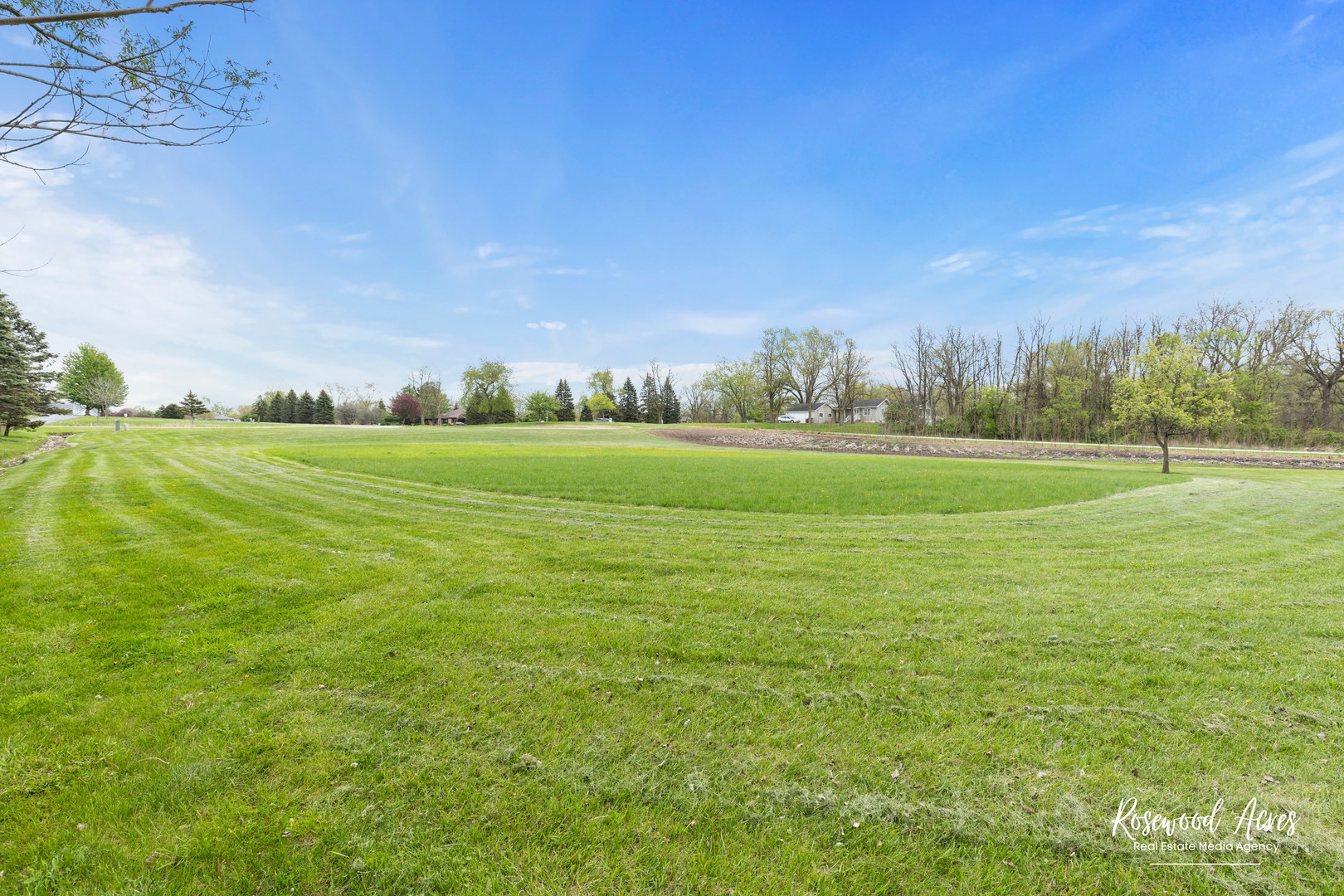 5456 West Heatherbrook Trail Monee, IL 60449 - Photo 5 of 9 a view of field with trees in the background