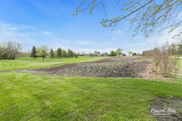 a view of a big yard with a large tree