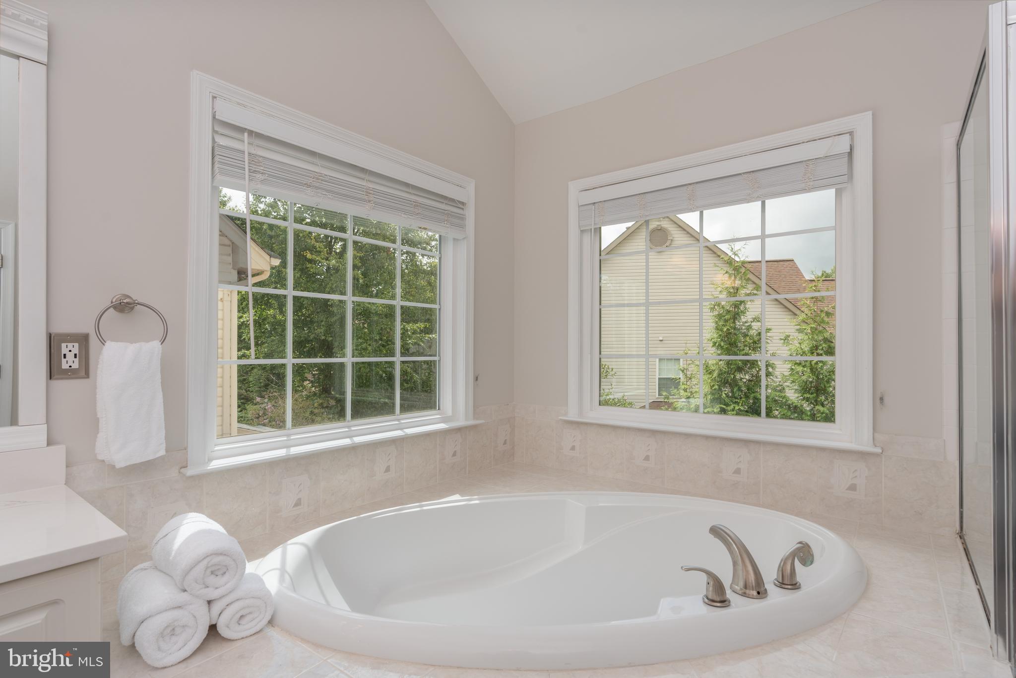 47543 Rippling Drive Sterling, VA 20165 - Photo 26 of 52 Primary bath soaking tub