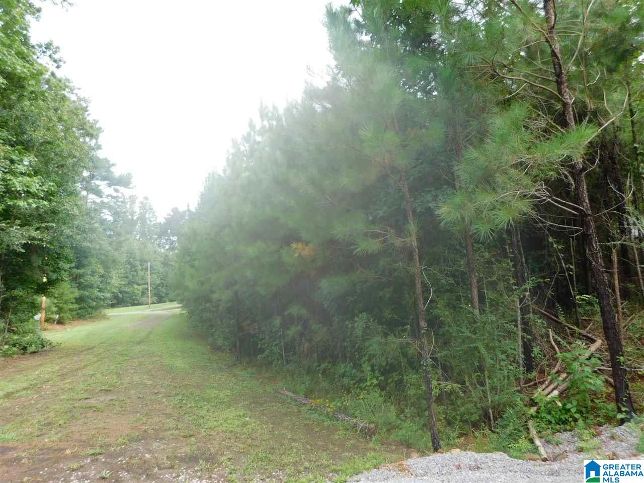 133 County Road, Unit 2 & 3 Empire, AL 35063 - Photo 7 of 15