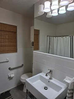 a bathroom with a sink a mirror and a toilet