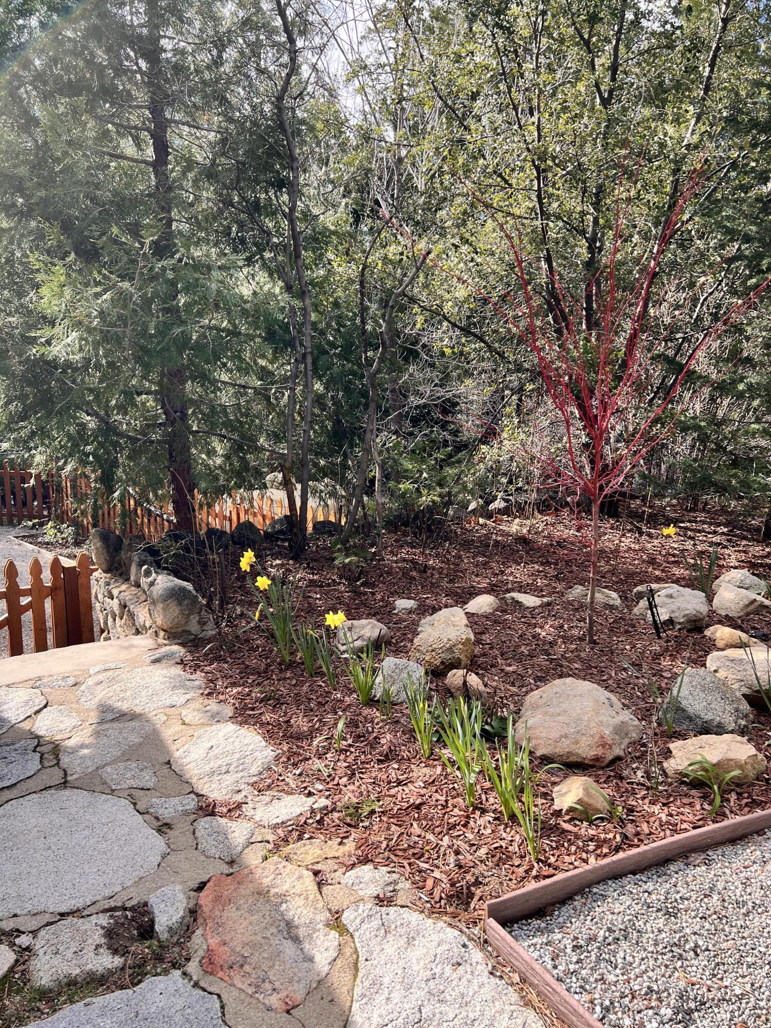 25835 Wayne Road Idyllwild, CA 92549 - Photo 32 of 54 IMG_8415
