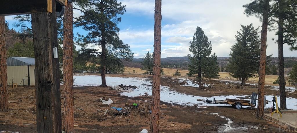 8200 Highway 165 Rye, CO 81069 - Photo 10 of 26