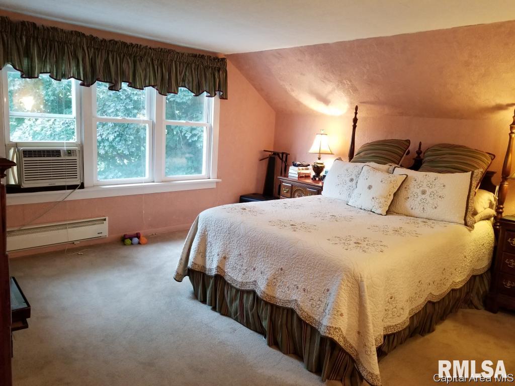 301 East Scottville Road Modesto, IL 62667 - Photo 11 of 31