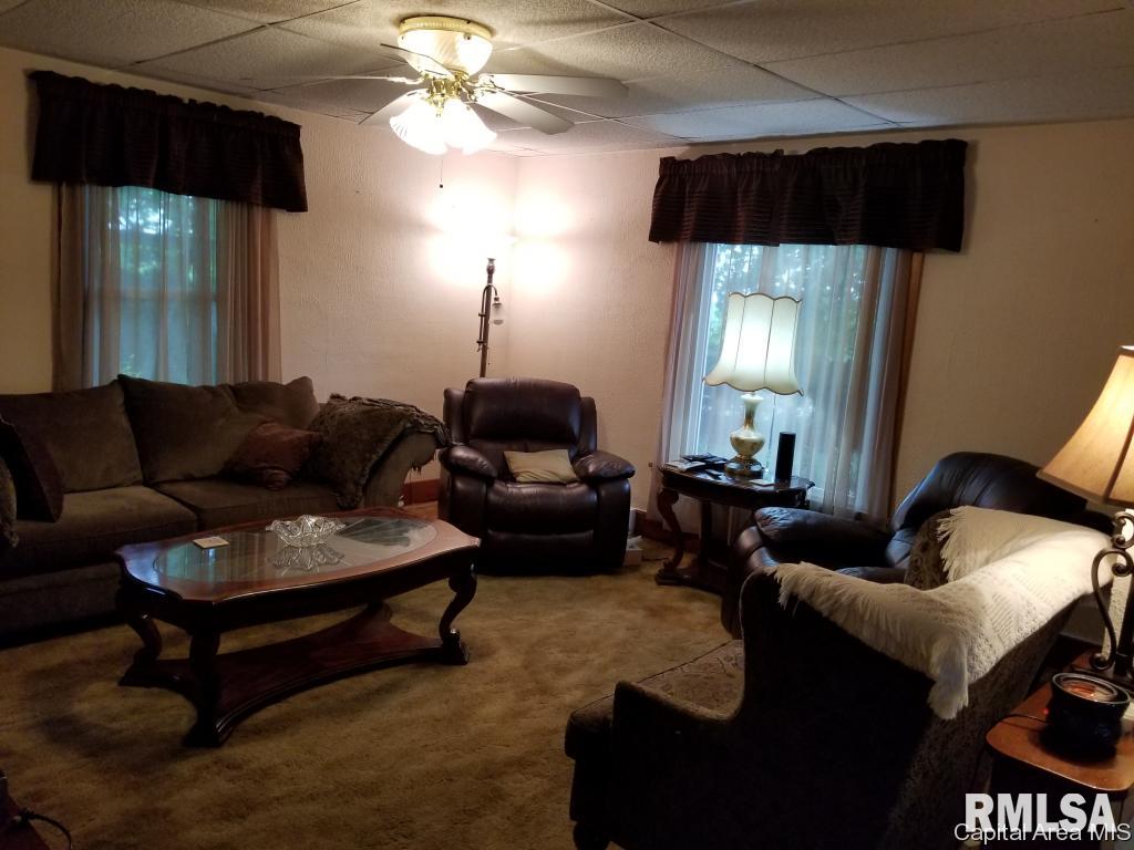 301 East Scottville Road Modesto, IL 62667 - Photo 2 of 31