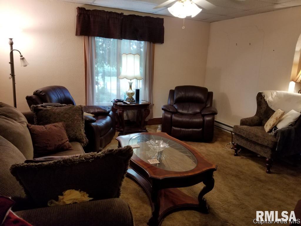 301 East Scottville Road Modesto, IL 62667 - Photo 3 of 31
