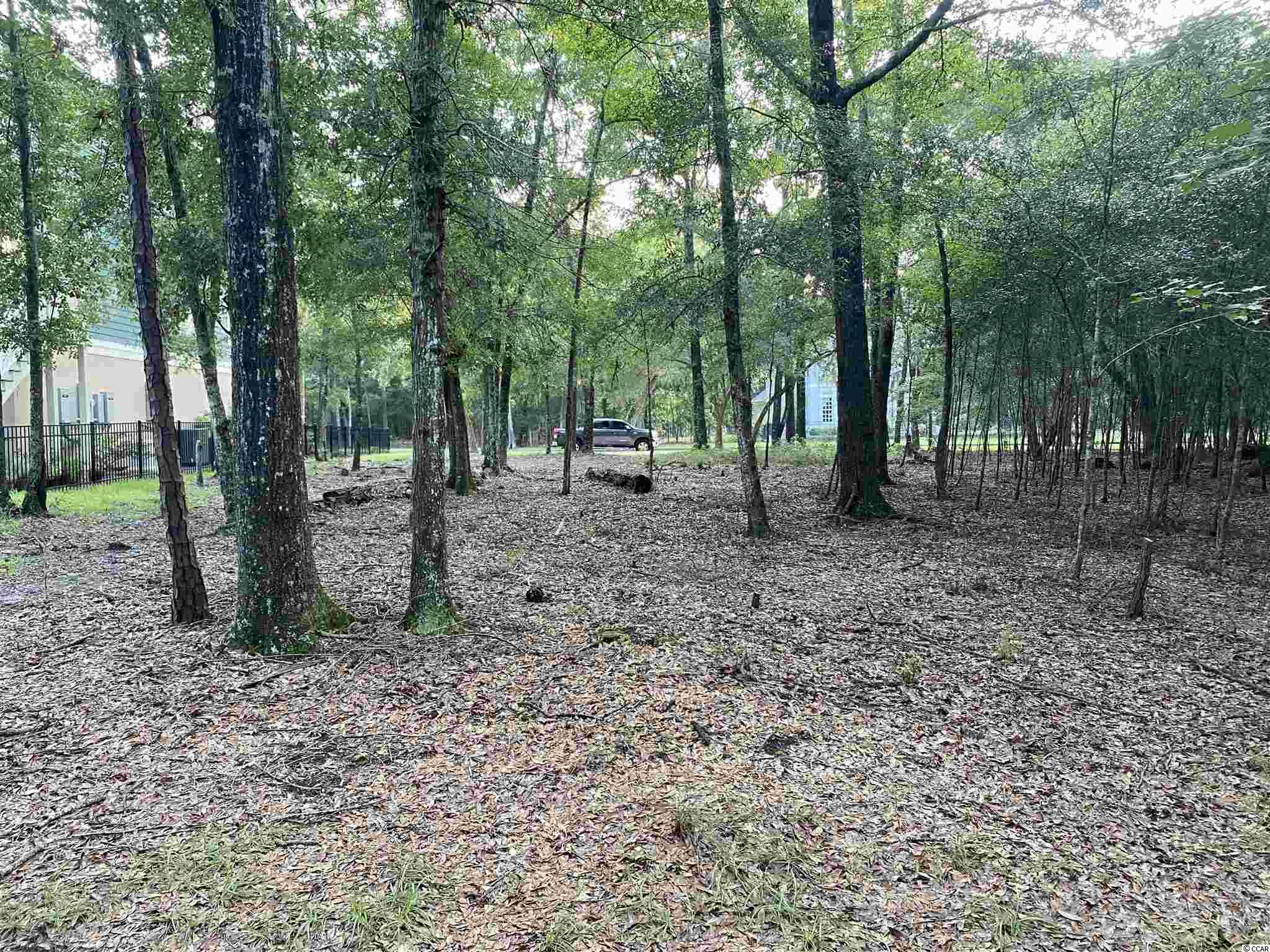 216 Madison Drive Georgetown, SC 29440 - Photo 3 of 14 Gallery Image 3