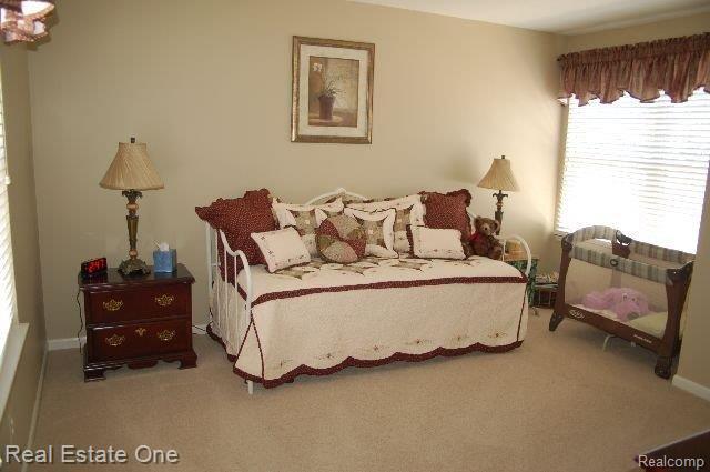 3812 Winding Brk Circle, Unit 9 Rochester, MI 48309 - Photo 12 of 19 BEDROOM 2