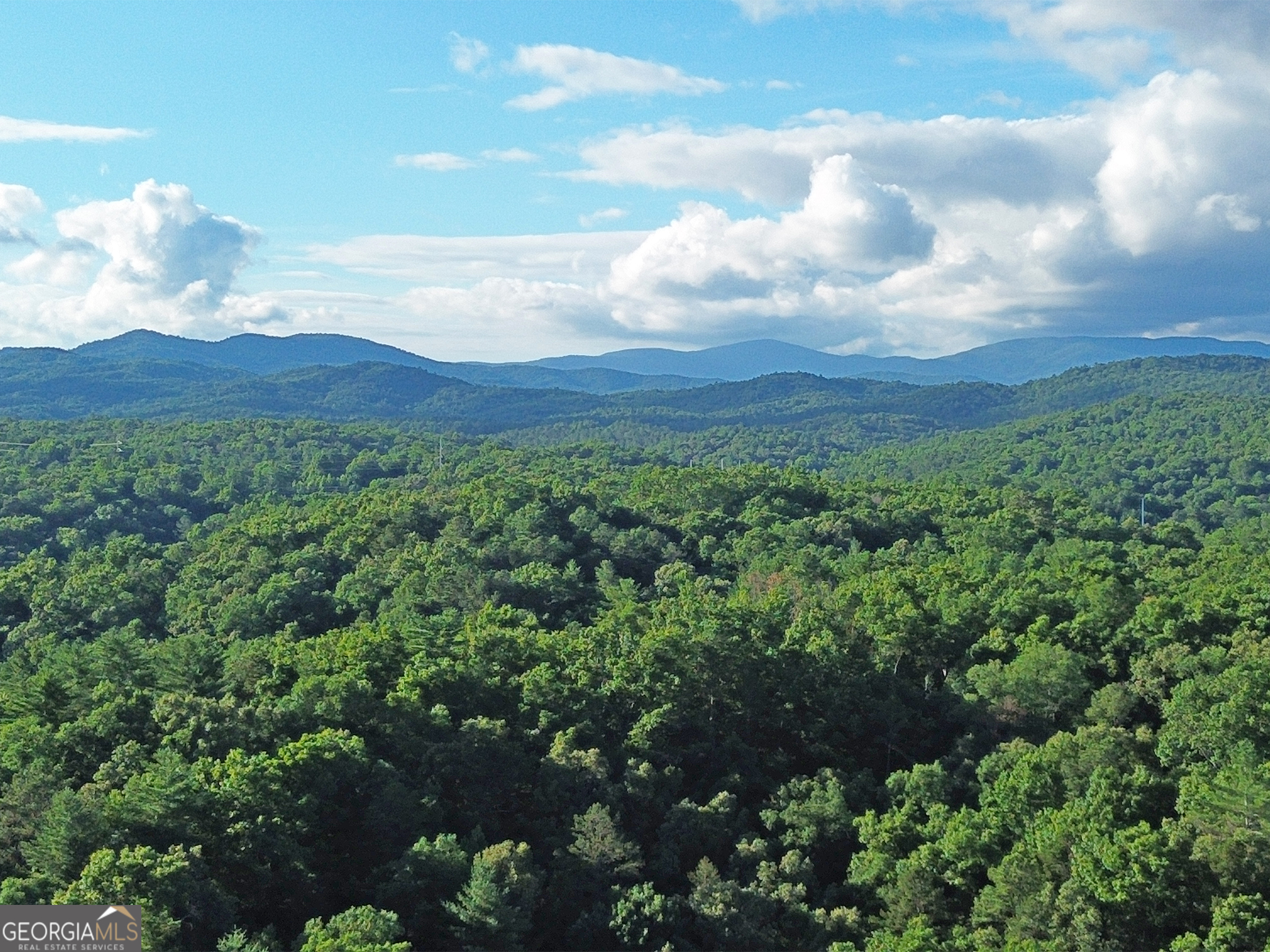 Lot 18 Mt Springer Road Ellijay, GA 30540 - Photo 13 of 31