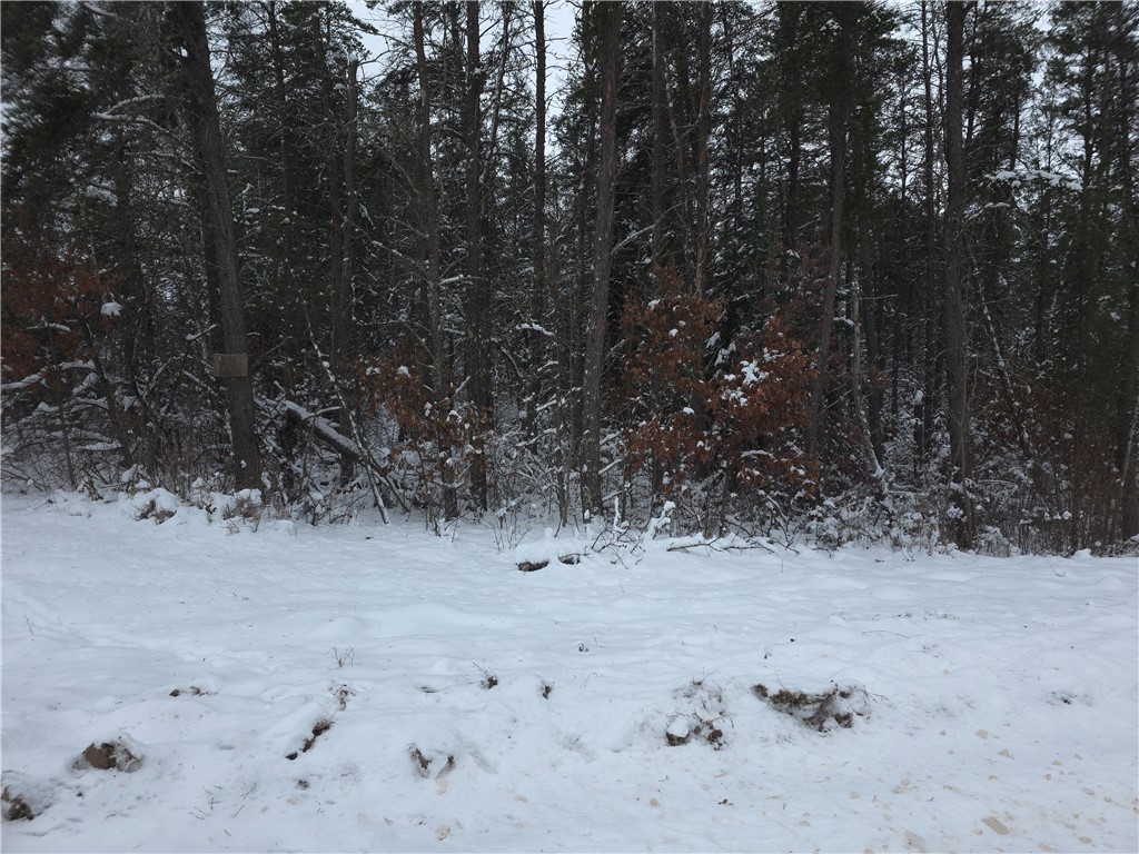 0 Liesch Road Trego, WI 54888 - Photo 19 of 27