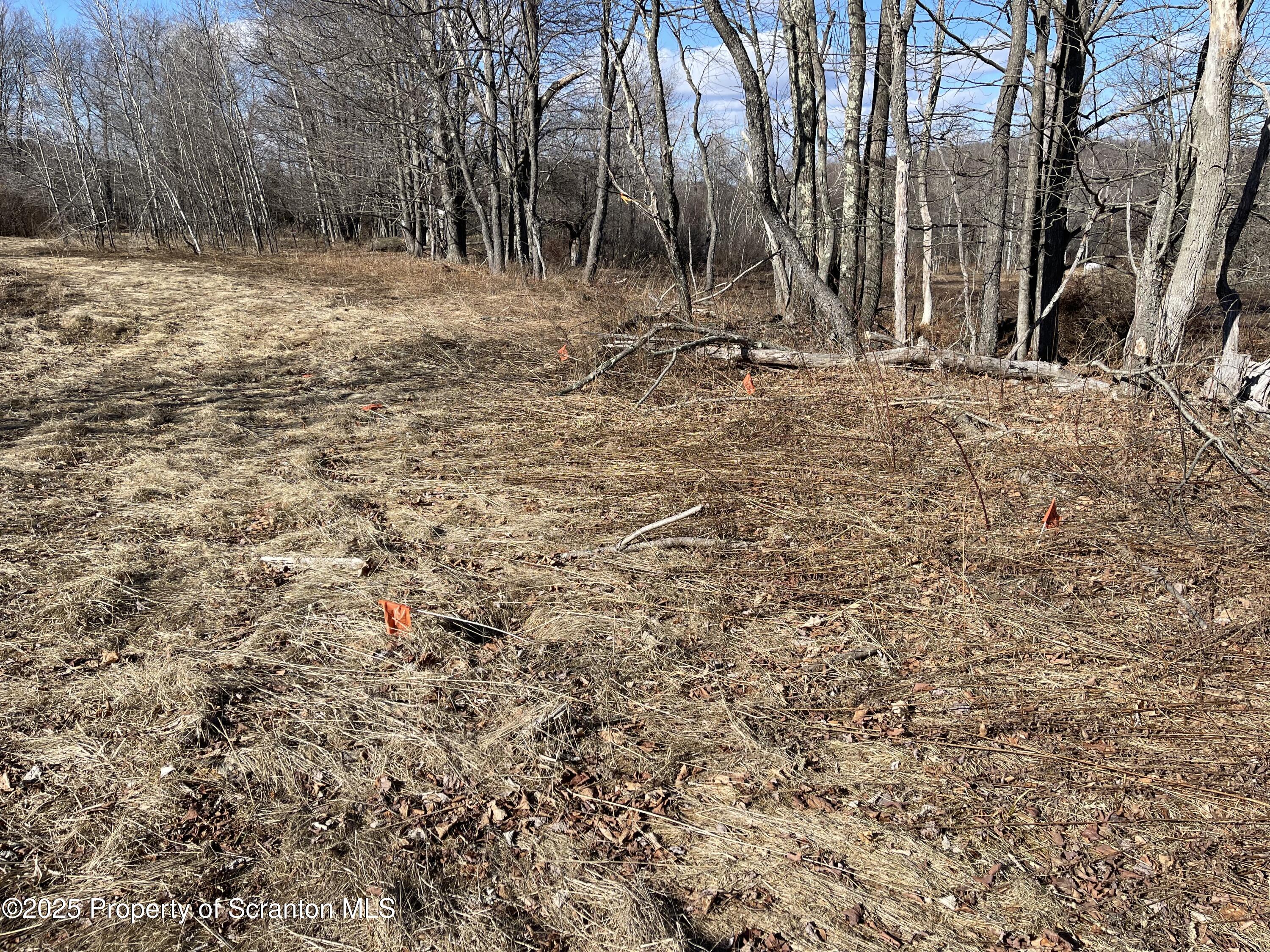 318 Road Spring Brook Moscow, PA 18444 - Photo 11 of 16 a backyard of a house with large trees