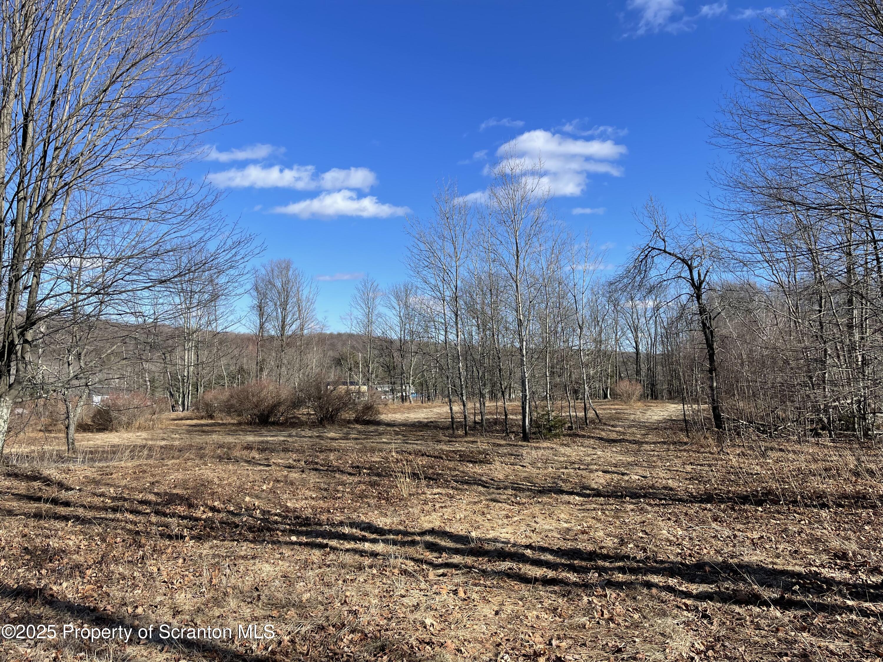 318 Road Spring Brook Moscow, PA 18444 - Photo 13 of 16 a view of a yard with a house
