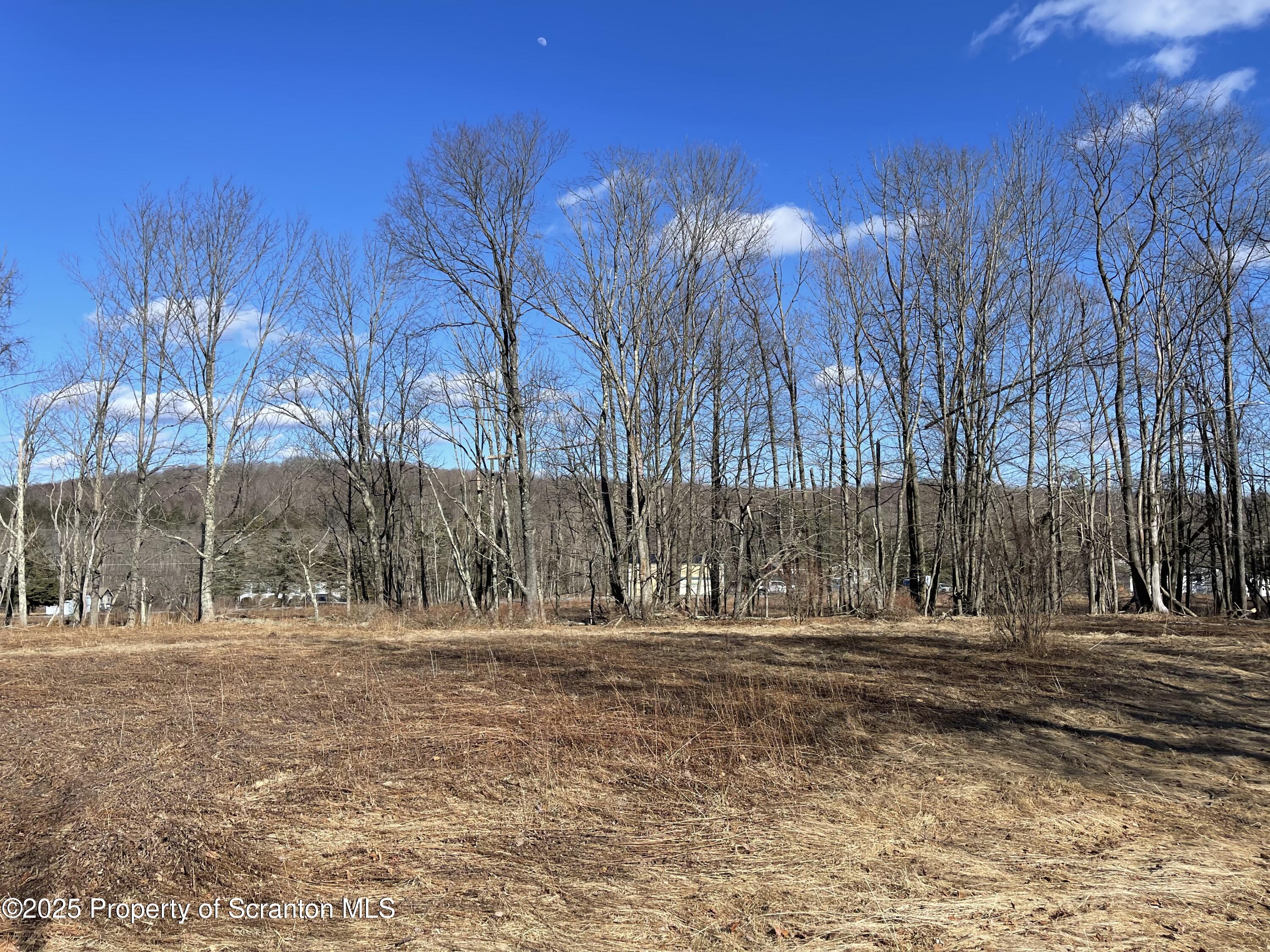 318 Road Spring Brook Moscow, PA 18444 - Photo 14 of 16 a backyard of a house with lots of green space and wooden fence