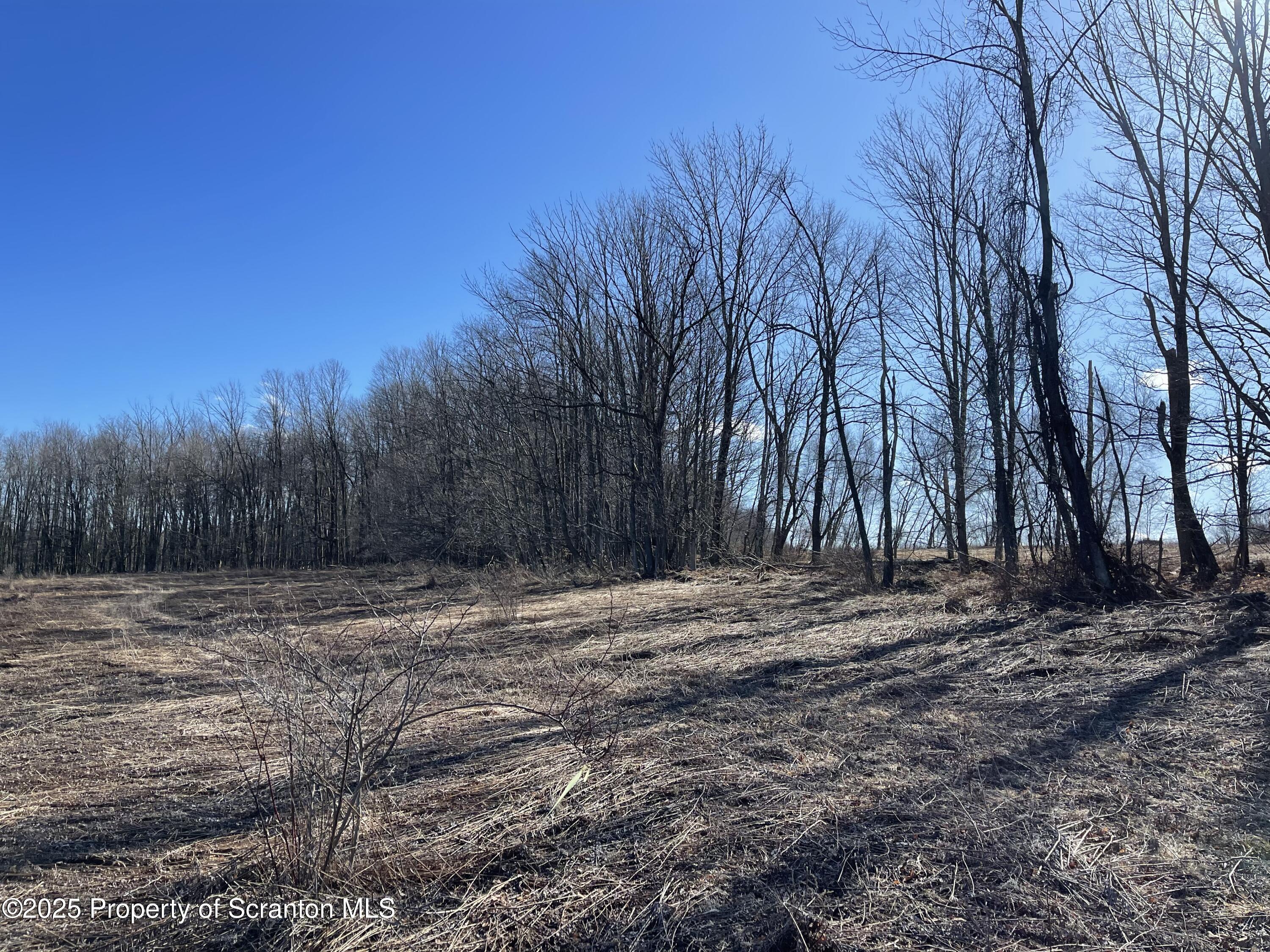 318 Road Spring Brook Moscow, PA 18444 - Photo 15 of 16 a view of a backyard of a house