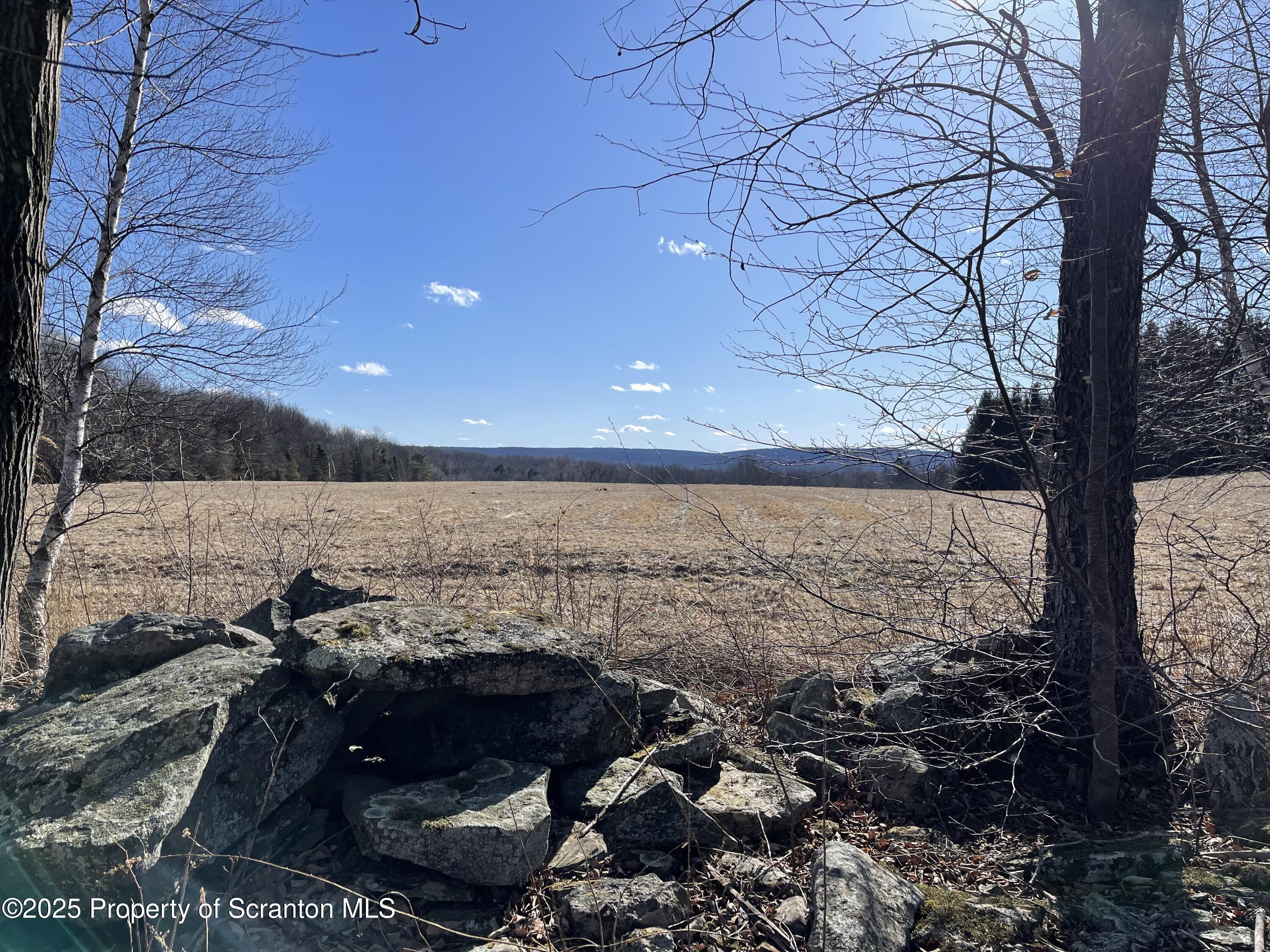 318 Road Spring Brook Moscow, PA 18444 - Photo 2 of 16 a view of a terrace