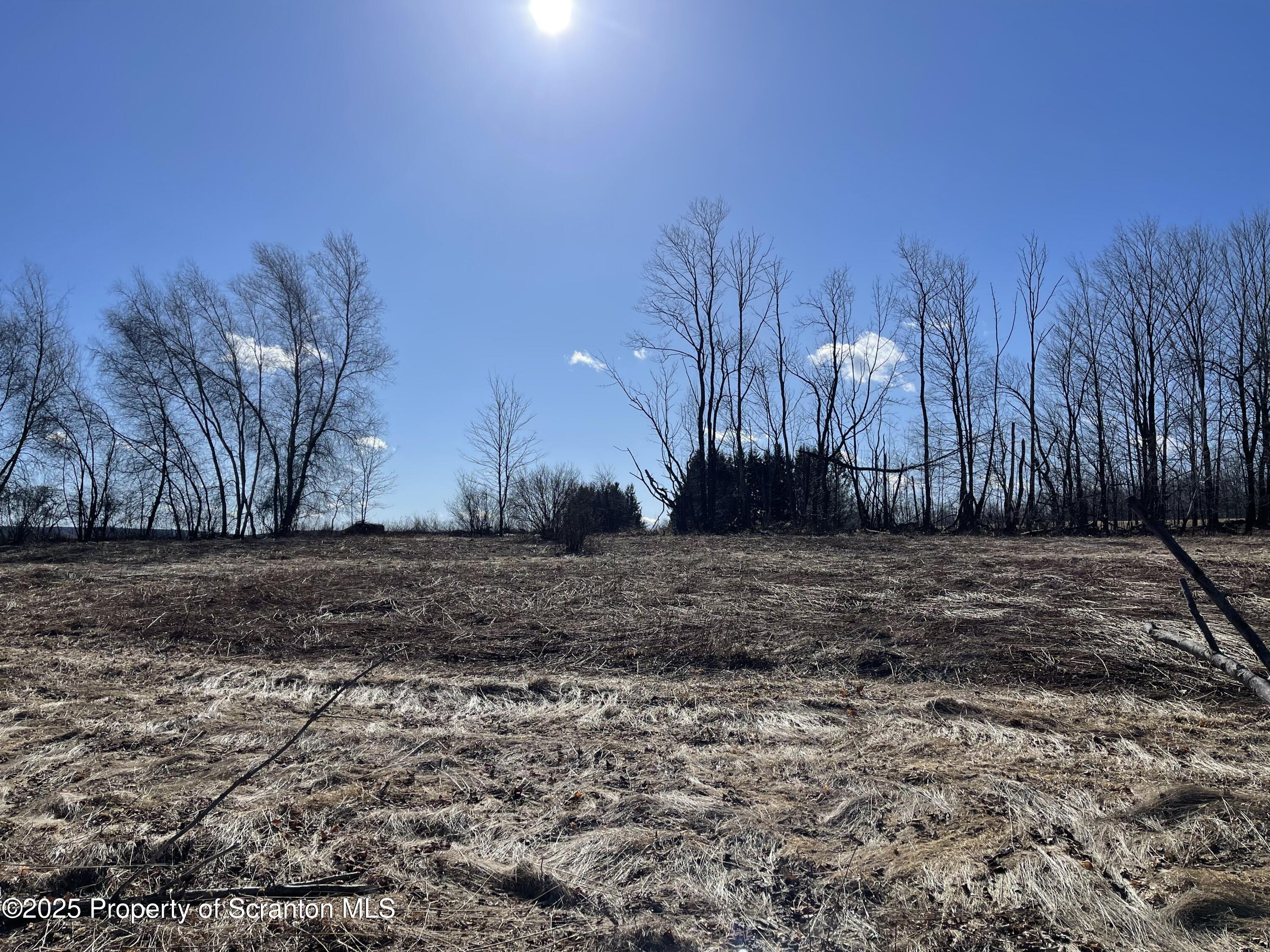 318 Road Spring Brook Moscow, PA 18444 - Photo 4 of 16 a view of backyard space