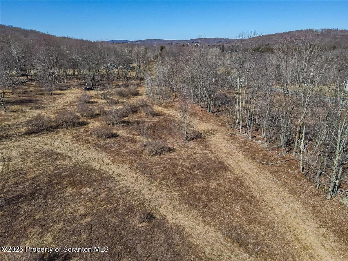 318 Road Spring Brook Moscow, PA 18444 - Photo 6 of 16 a view of a dry yard with green space