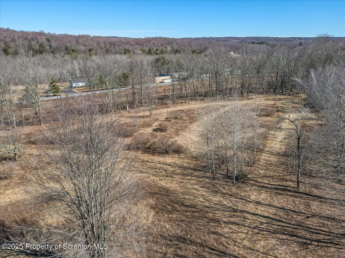 318 Road Spring Brook Moscow, PA 18444 - Photo 8 of 16 a view of outdoor space and mountain view