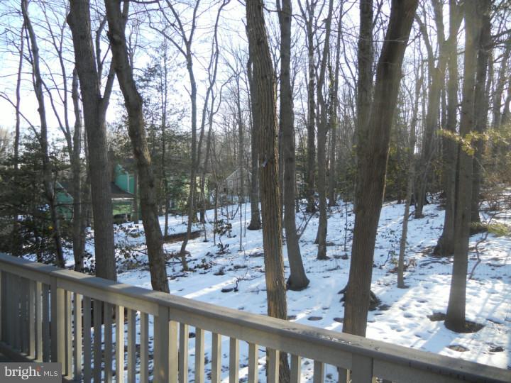 29 Signal Hill Road Cherry Hill, NJ 08003 - Photo 19 of 19 Back Yard