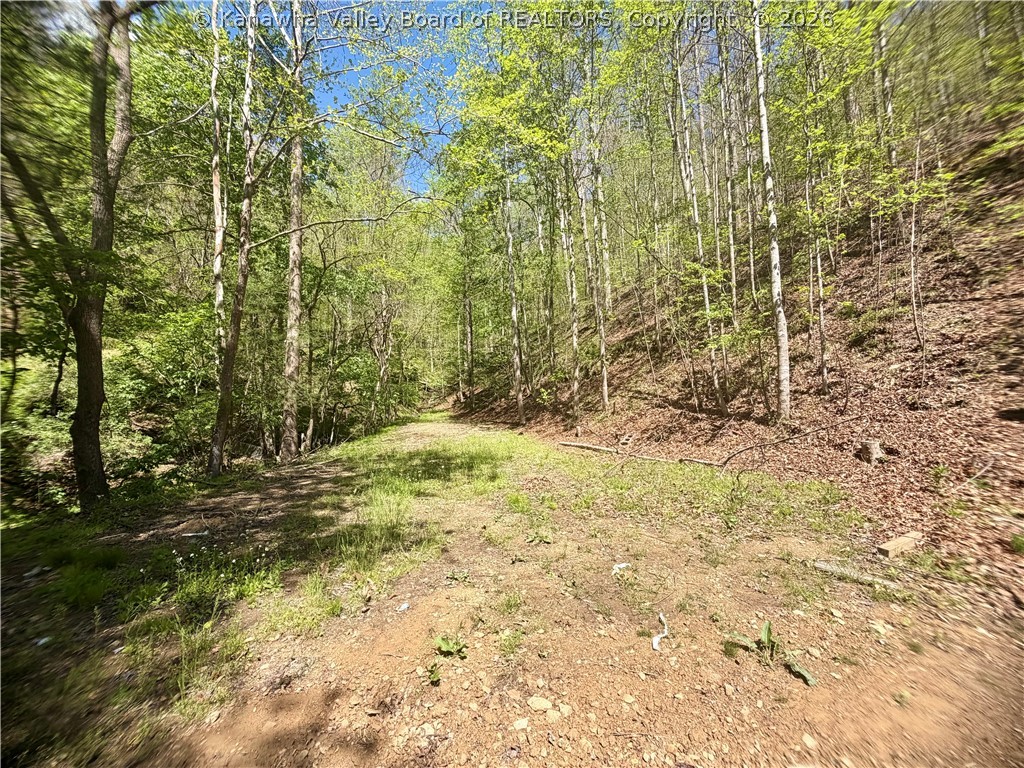 469 Tims Frk Road Chapmanville, WV 25508 - Photo 6 of 30 Gallery Image 6