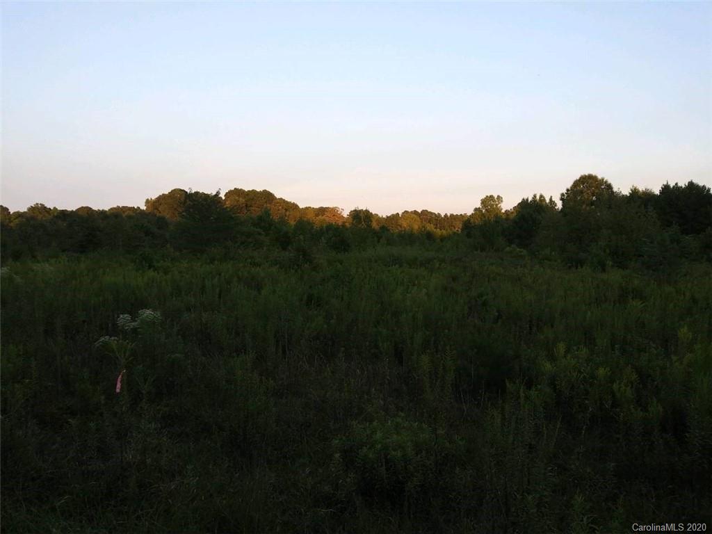 0 Davis Farm Road, Unit 6 York, SC 29745 - Photo 2 of 2 Gallery Image 2