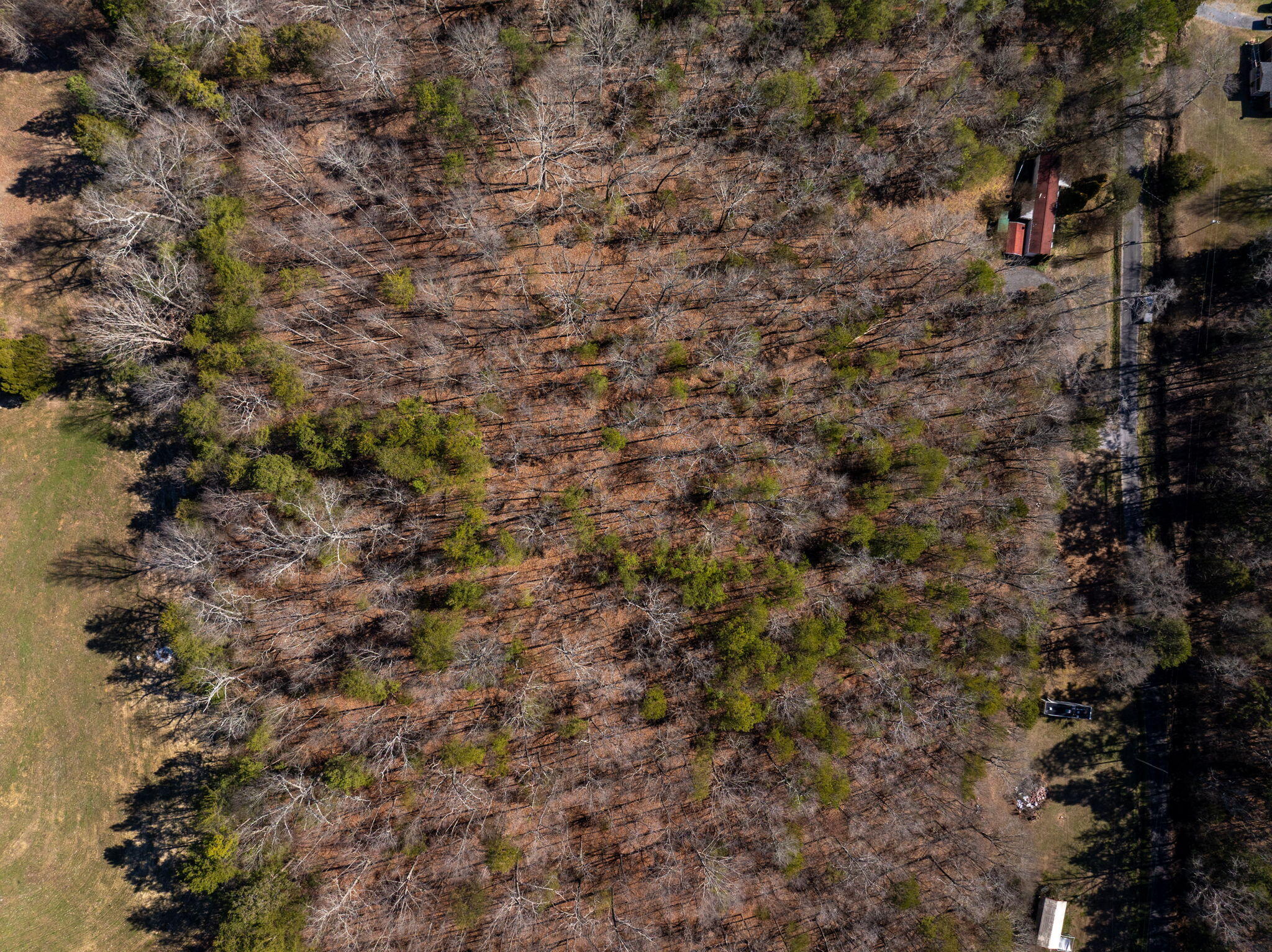 0 Ayers Road Chickamauga, GA 30707 - Photo 2 of 14 2-web-or-mls-DJI_20260127125532_0748_D-7