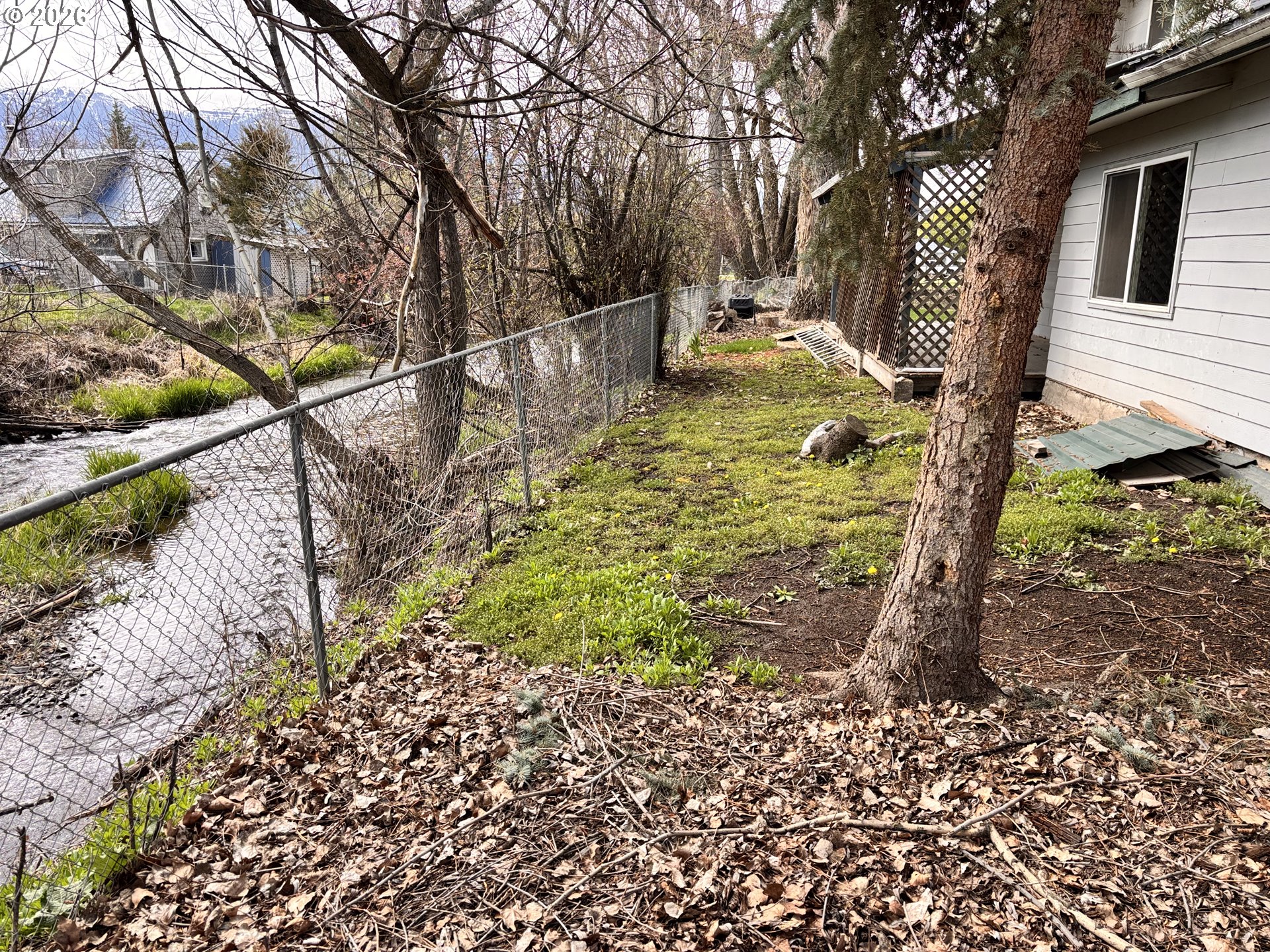302 Southwest Depot Street Enterprise, OR 97828 - Photo 19 of 22 a view of a yard with plants and trees
