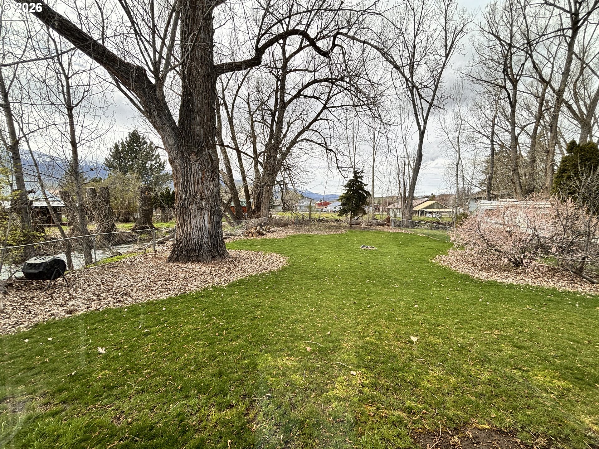 302 Southwest Depot Street Enterprise, OR 97828 - Photo 22 of 22 a view of yard with tree
