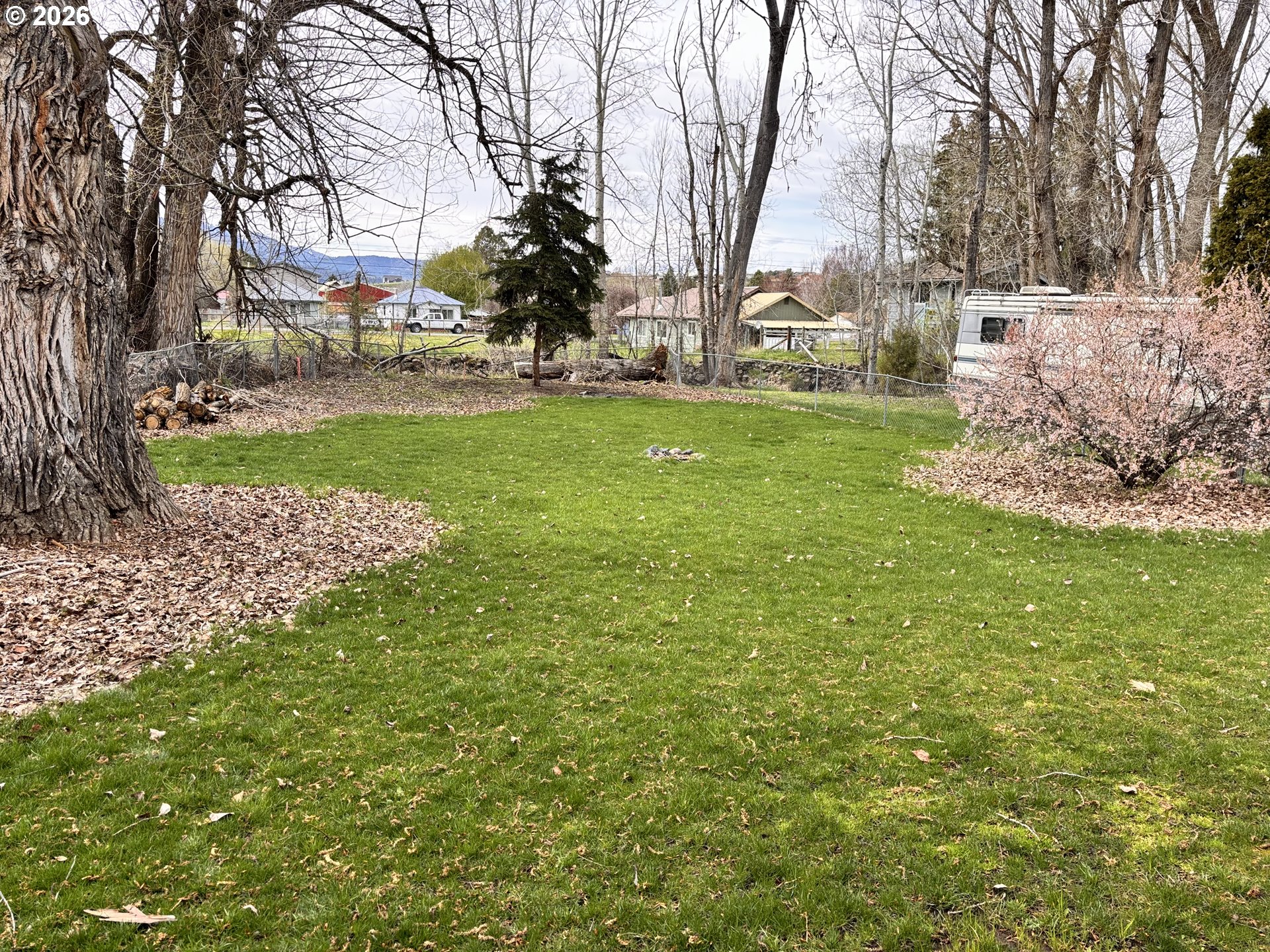 302 Southwest Depot Street Enterprise, OR 97828 - Photo 5 of 22 a view of yard with tree s