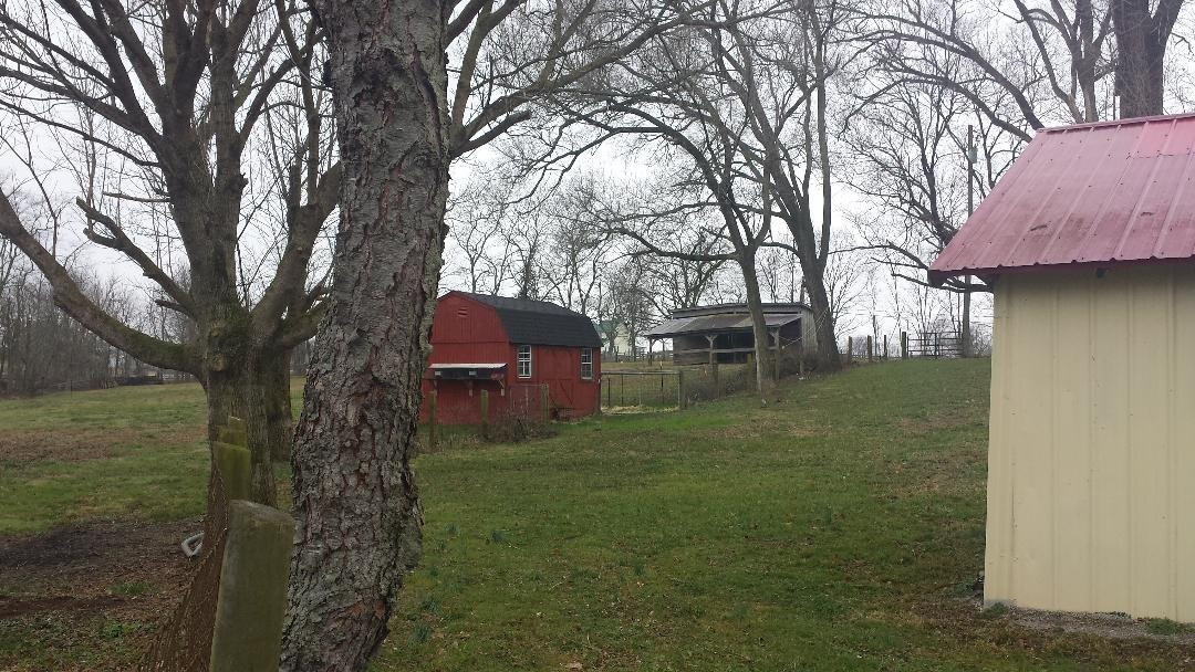 1050 Duvall Station Road Georgetown, KY 40324 - Photo 6 of 29 Listing Photo