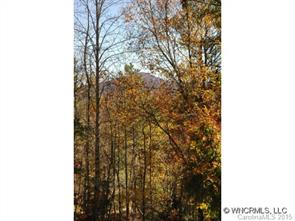 9999 Harris Rd Extension Fairview, NC 28730 - Photo 1 of 6 Gallery Image 1