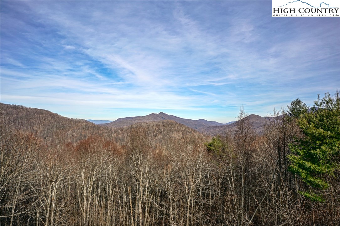 697 Kings Rdg Trail Todd, NC 28684 - Photo 3 of 49 Gallery Image 3