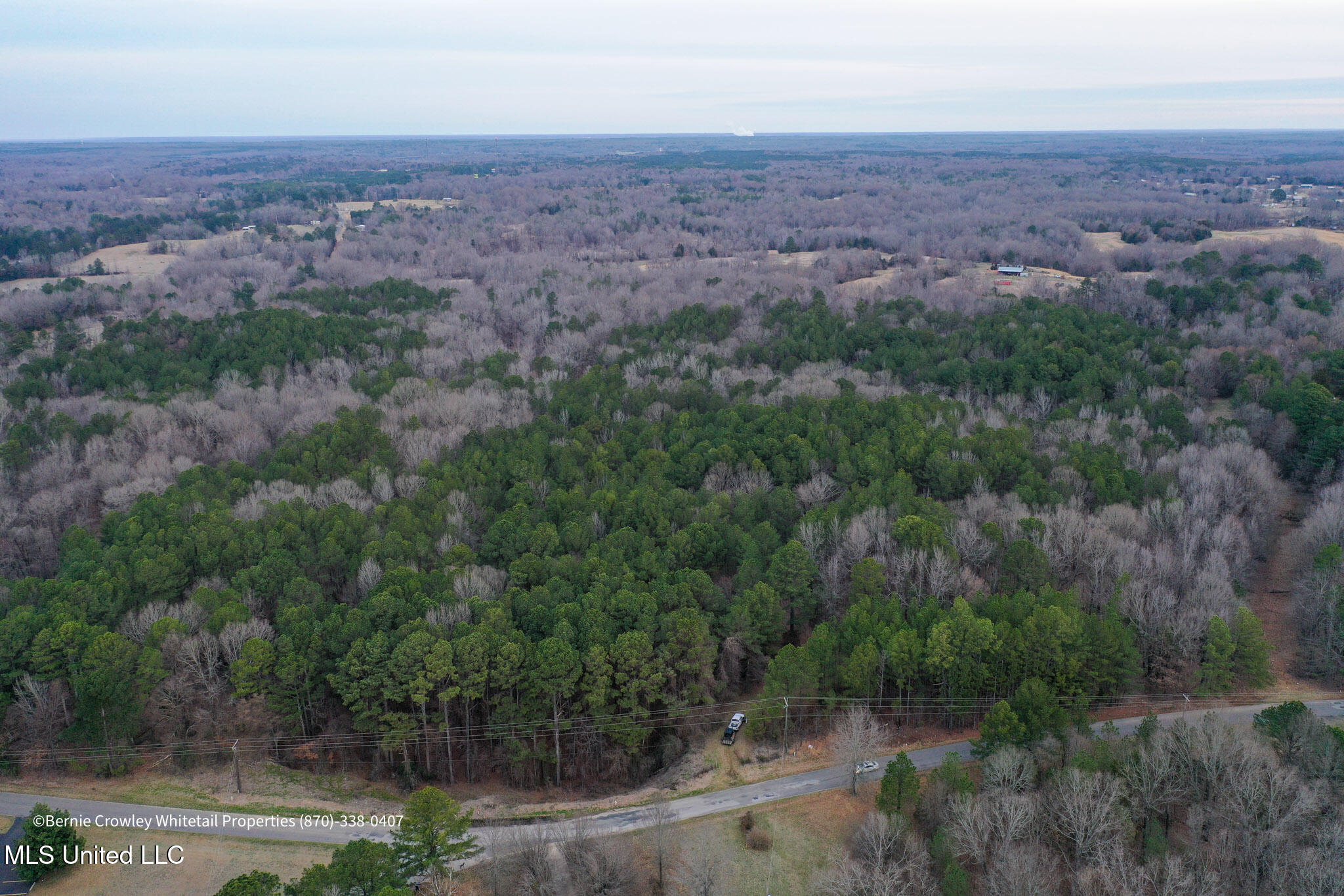 Enid Dam Rd Road Pope, MS 38658 - Photo 1 of 43 Panola 58.5 MLS -06