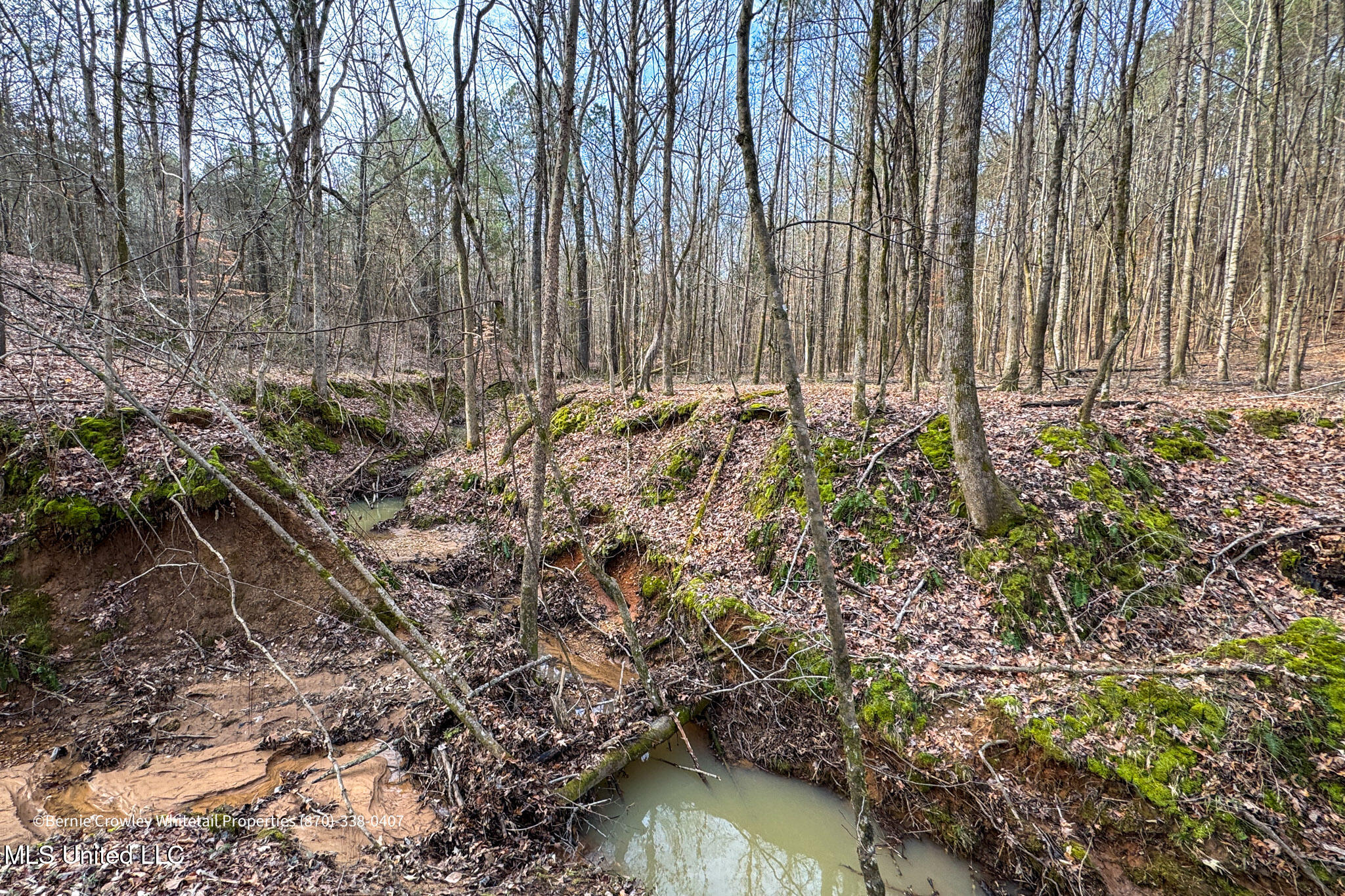 Enid Dam Rd Road Pope, MS 38658 - Photo 13 of 43 Panola 58.5 MLS -13