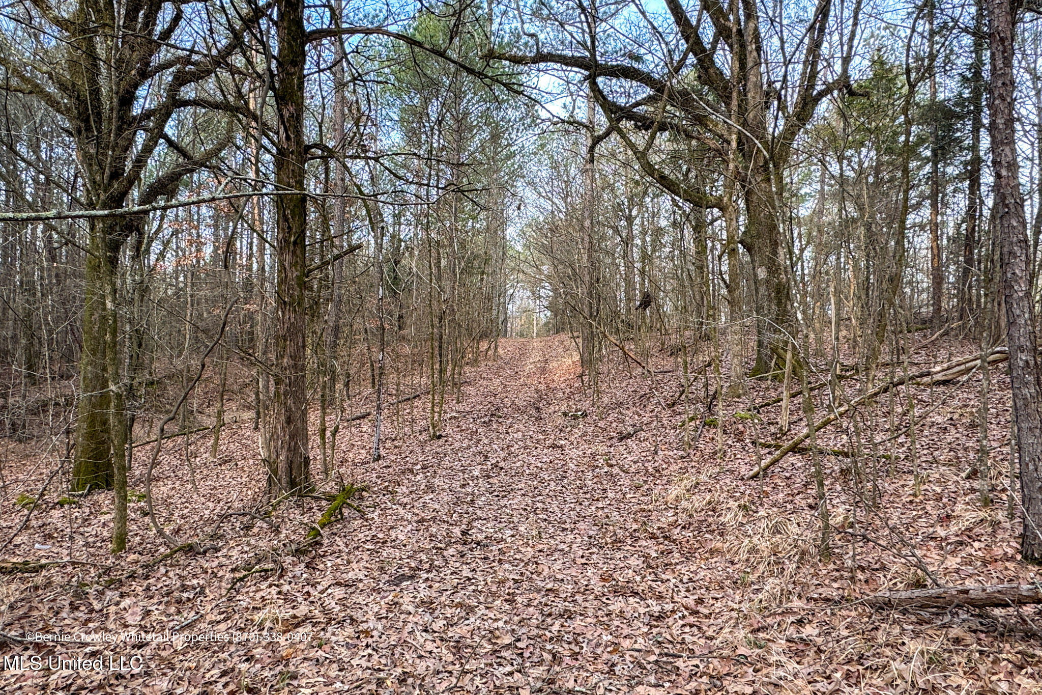 Enid Dam Rd Road Pope, MS 38658 - Photo 18 of 43 Panola 58.5 MLS -18