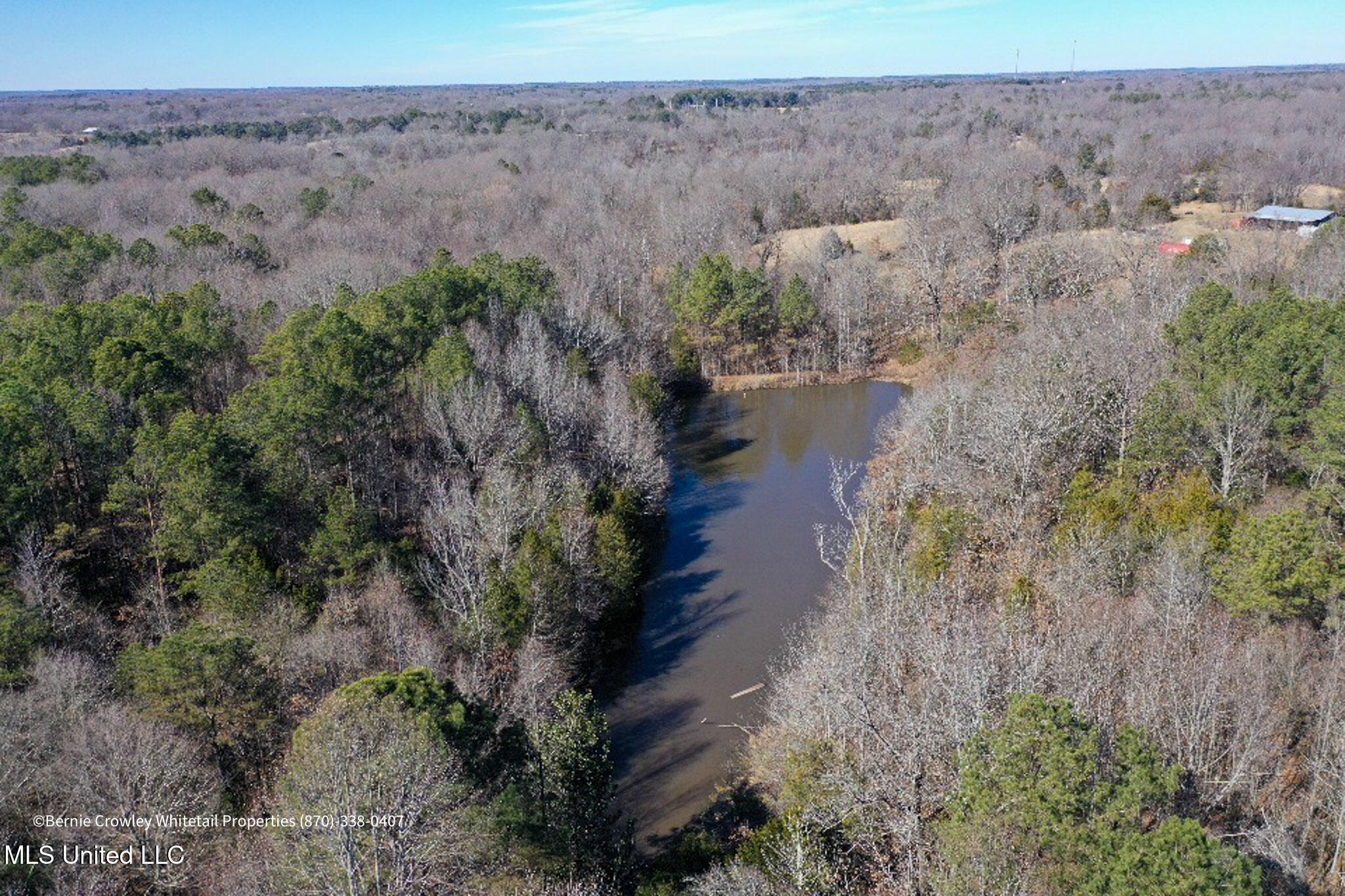 Enid Dam Rd Road Pope, MS 38658 - Photo 20 of 43 Panola 58.5 MLS -20