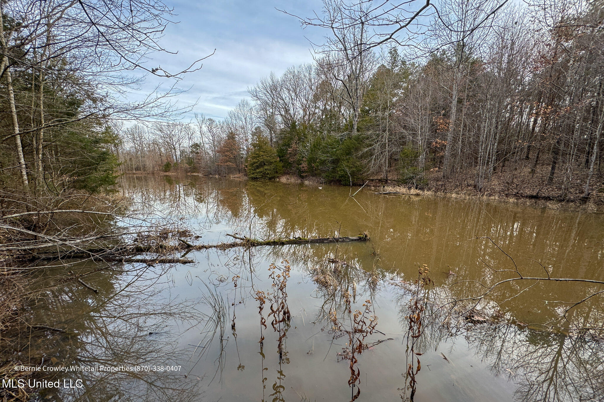 Enid Dam Rd Road Pope, MS 38658 - Photo 2 of 43 Panola 58.5 MLS -01