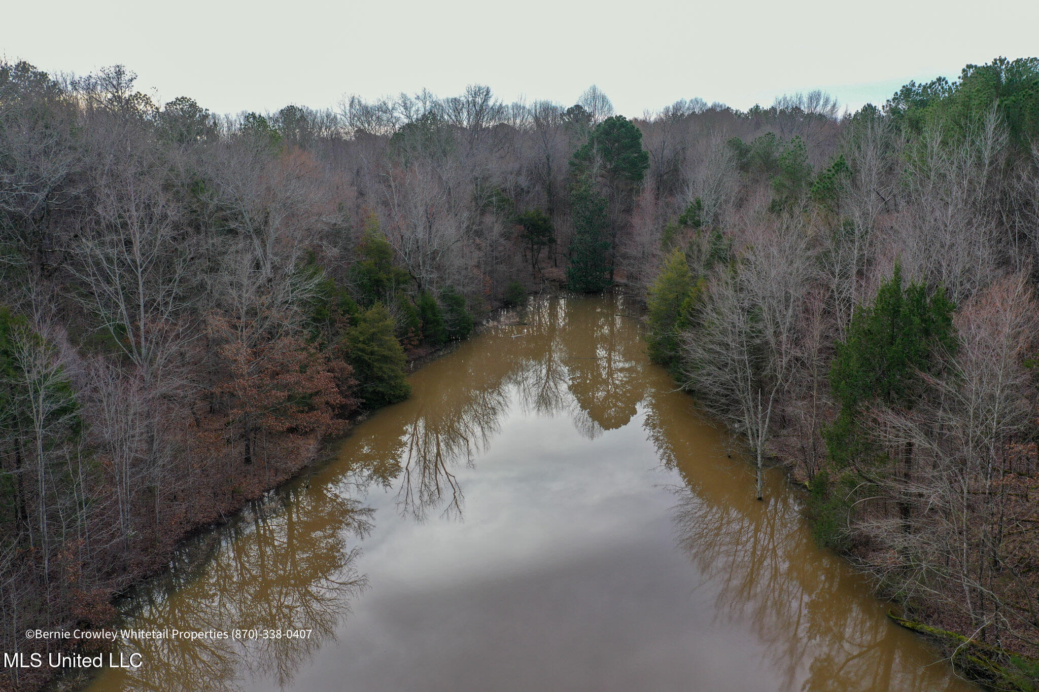 Enid Dam Rd Road Pope, MS 38658 - Photo 21 of 43 Panola 58.5 MLS -21