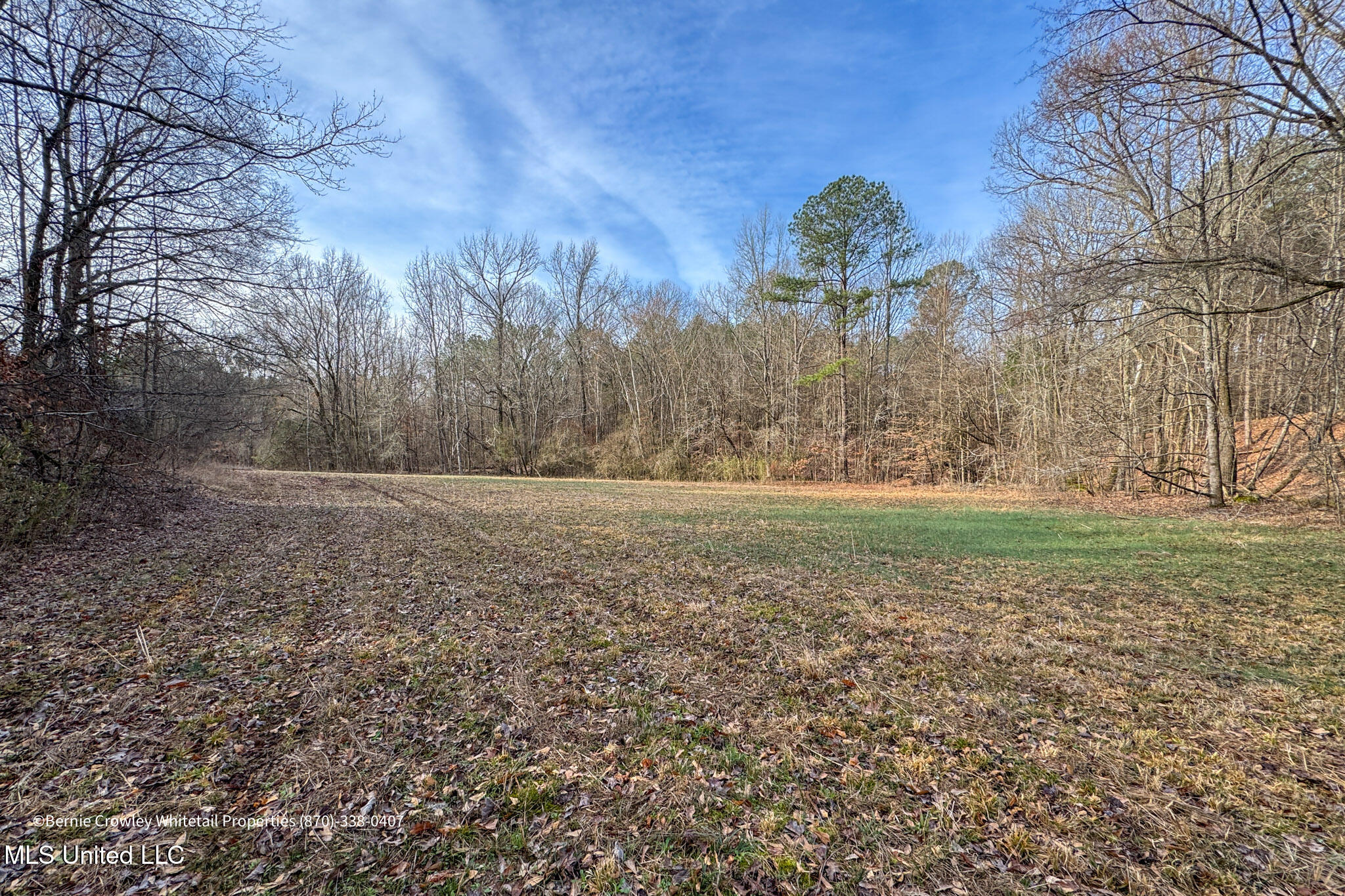 Enid Dam Rd Road Pope, MS 38658 - Photo 28 of 43 Panola 58.5 MLS -28