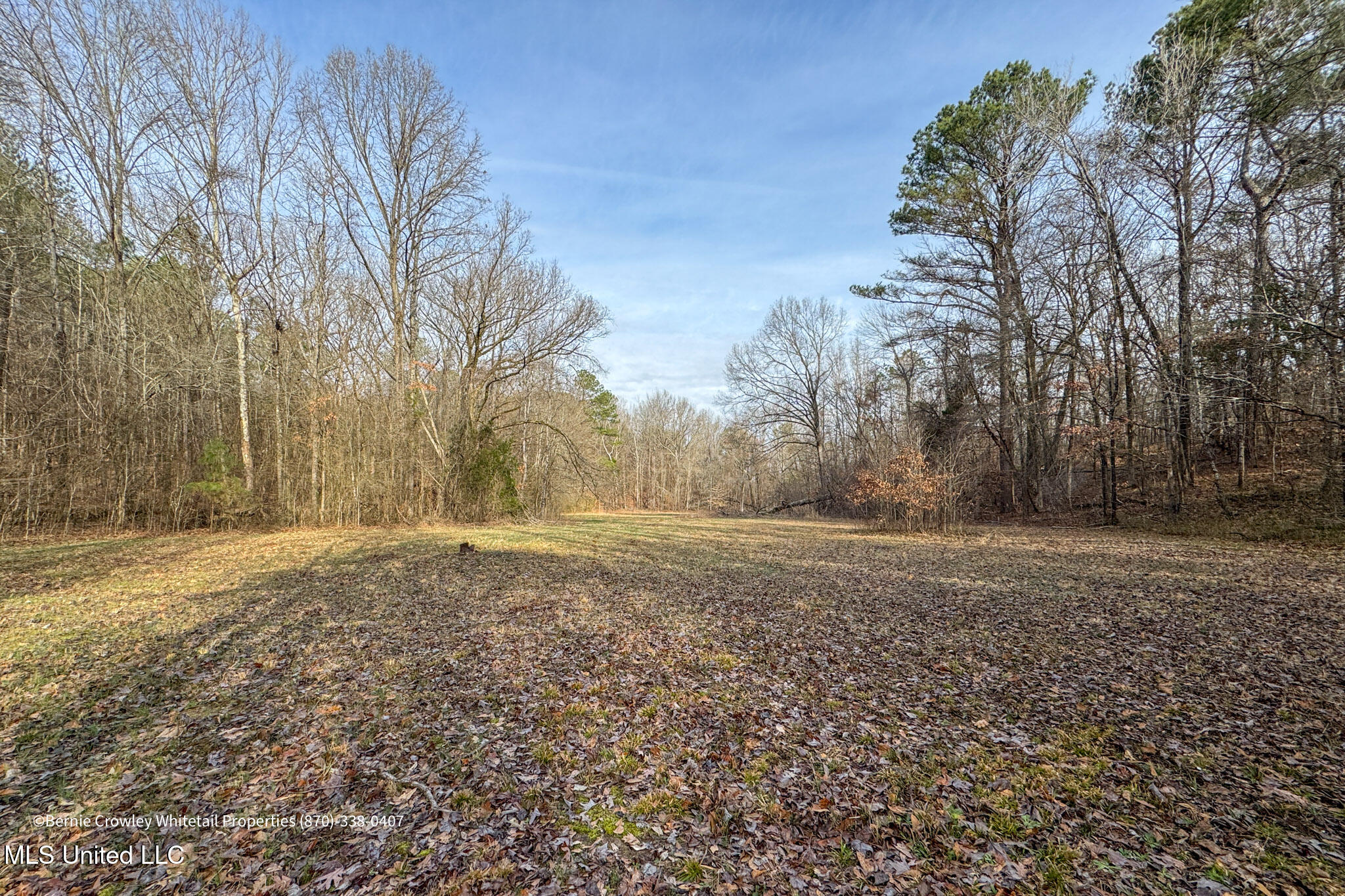 Enid Dam Rd Road Pope, MS 38658 - Photo 29 of 43 Panola 58.5 MLS -29