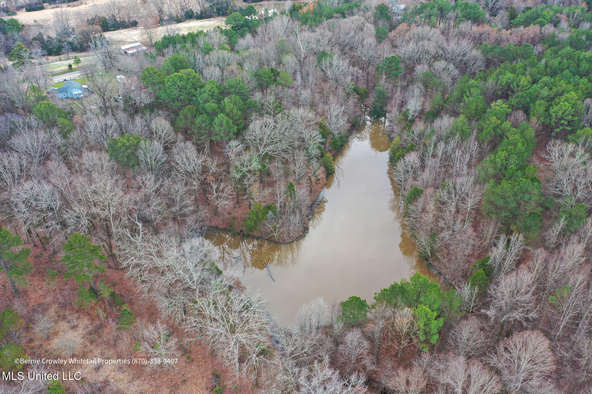 Enid Dam Rd Road Pope, MS 38658 - Photo 3 of 43 Panola 58.5 MLS -02