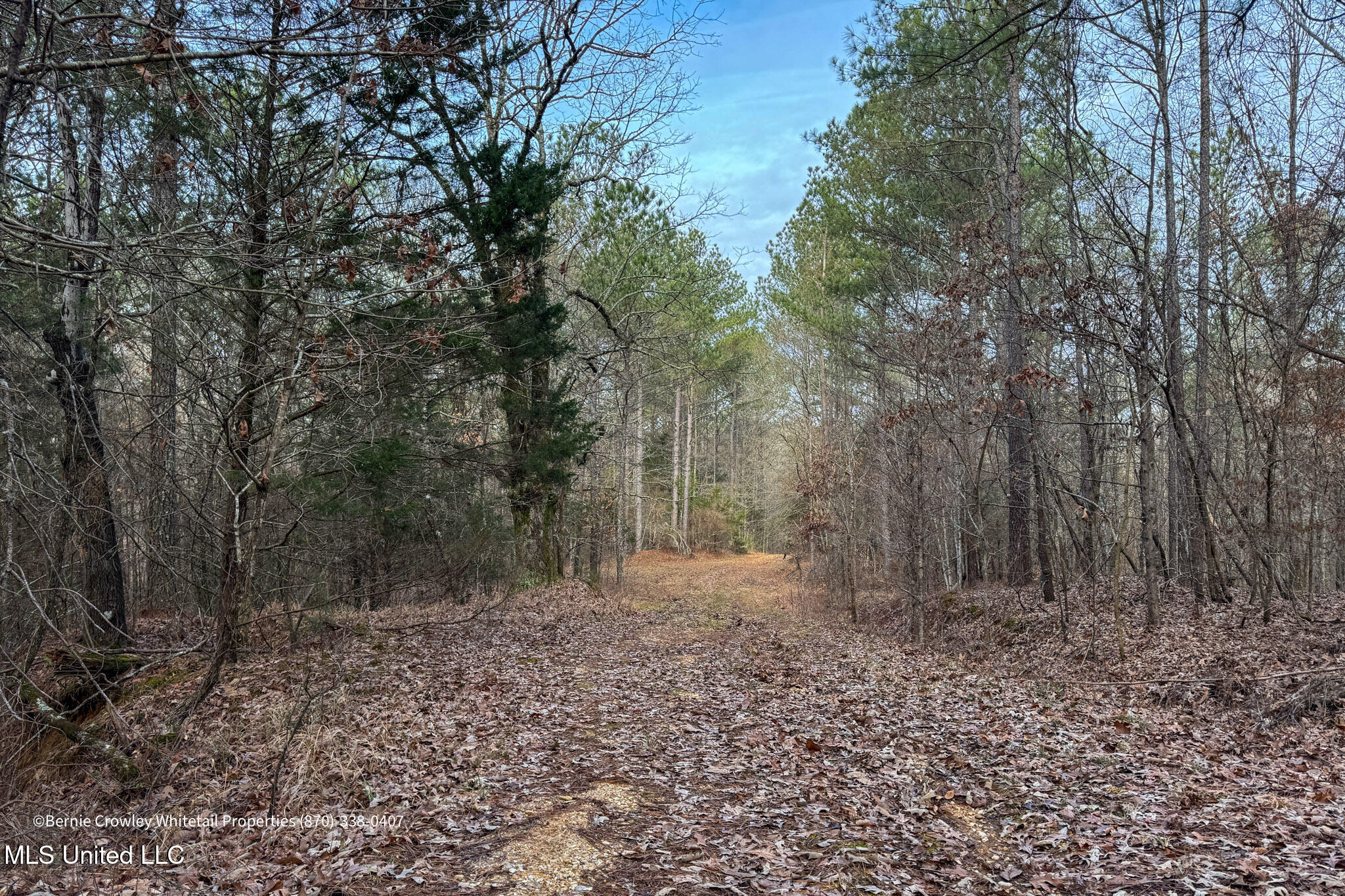 Enid Dam Rd Road Pope, MS 38658 - Photo 32 of 43 Panola 58.5 MLS -32