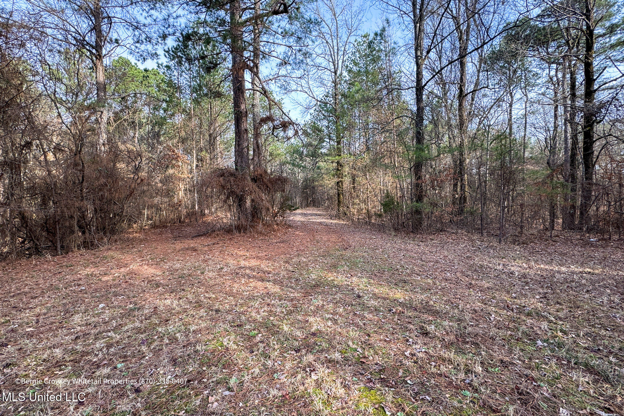 Enid Dam Rd Road Pope, MS 38658 - Photo 33 of 43 Panola 58.5 MLS -34